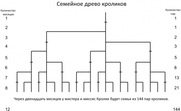 Происхождение и применение последовательности Фибоначчи