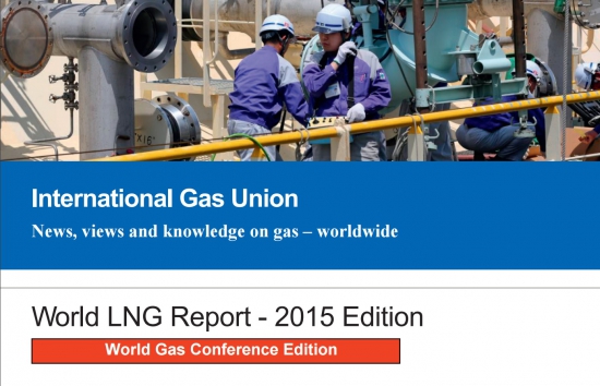 Обзор LNG 2015