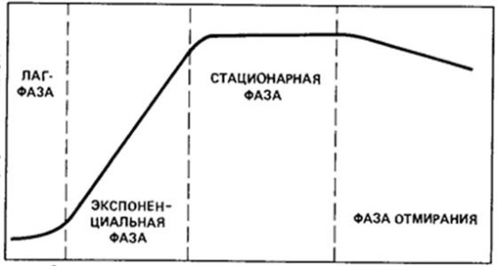 Демографический кризис // еще пару картинок