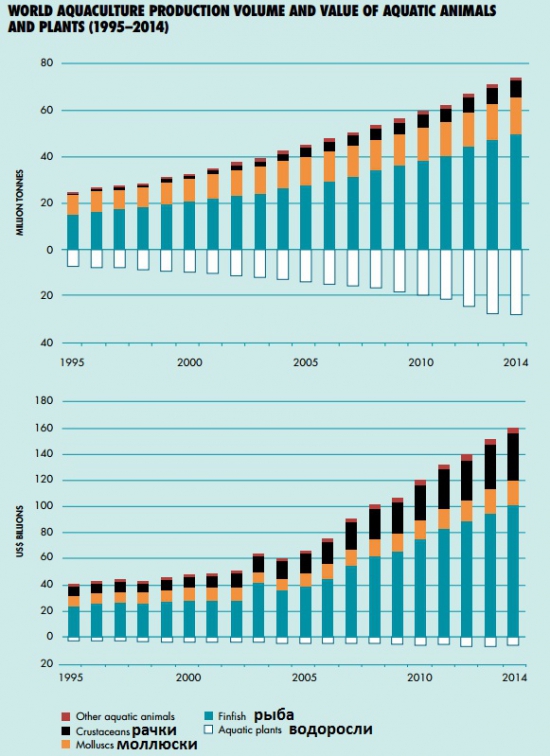 Морское сельское хозяйство // Обзор, индикатор