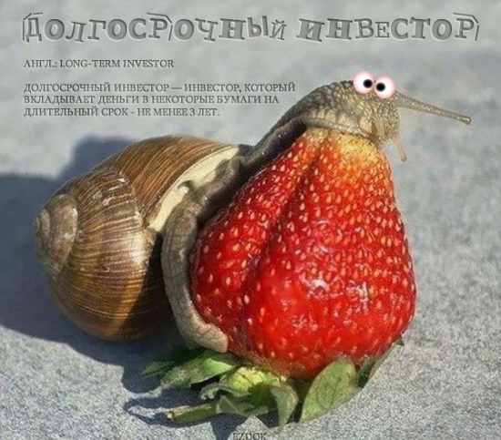 Долгосрочный инвестор