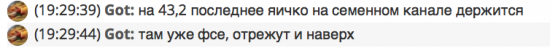 Будни трейдерского чатика. Кому веселье, а кому - не очень.