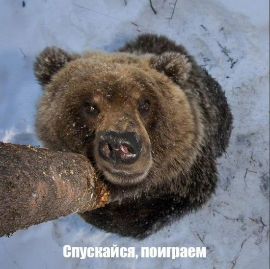 С наступающим!