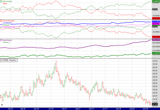 wti cot