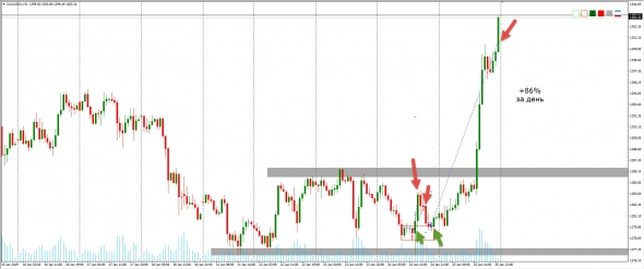 Торговля золота от 25.01.2019 года +86%