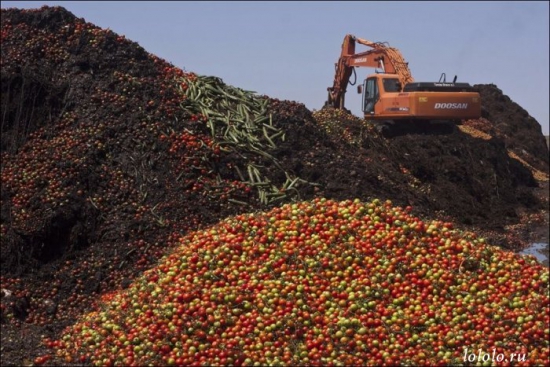 Не есть их проклятые продукты принципиально!!!