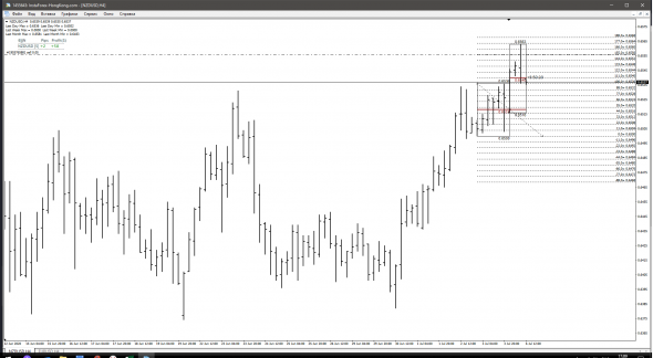 Шорт  NZD