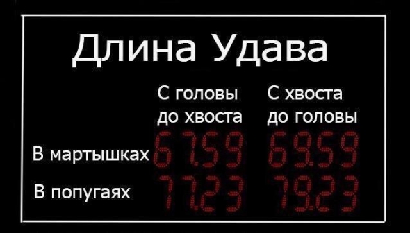 В свете последних законопроектов