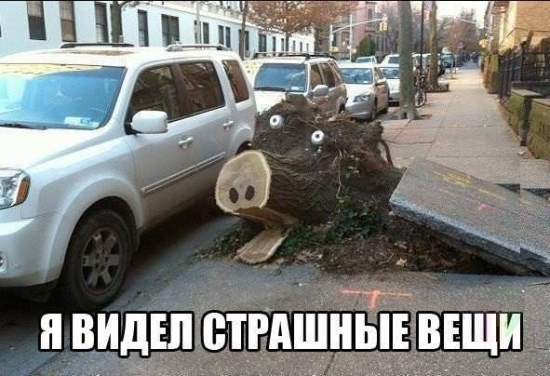 Жизнь сегодняшним днем.