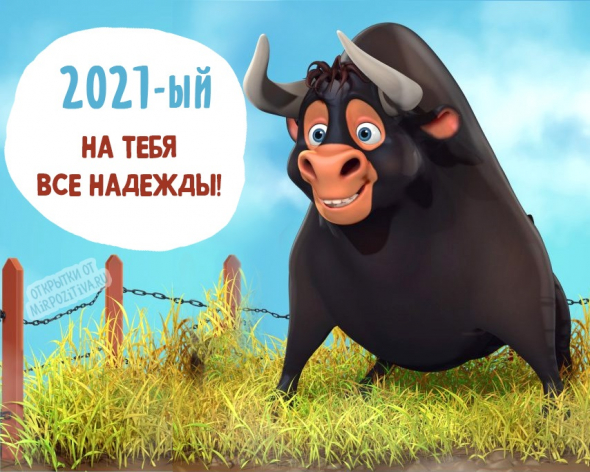 С Наступающим !