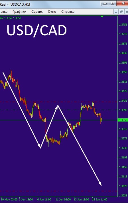 USD/CAD  Просто играй с Профи !!!