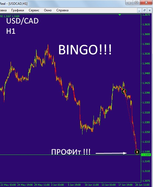 Очередная победа профи!!!  USD/CAD