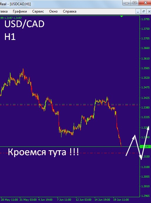 Очередная победа профи!!!  USD/CAD