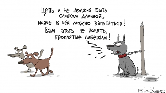 Ёлкин )