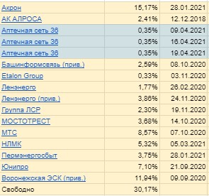 Портфель российских акций 31,02%