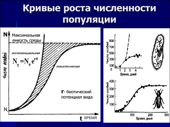 USD/RUB Логистическая кривая