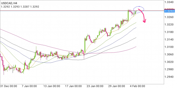 USD/CAD - канадские шорты малого размера