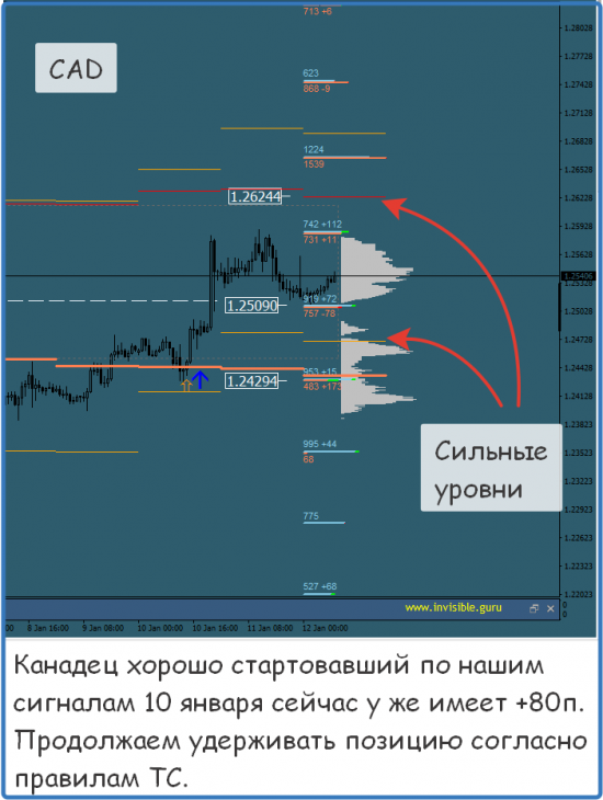 Мастерская трейдера 12.01.2018. Опционный анализ FOREX & FORTS