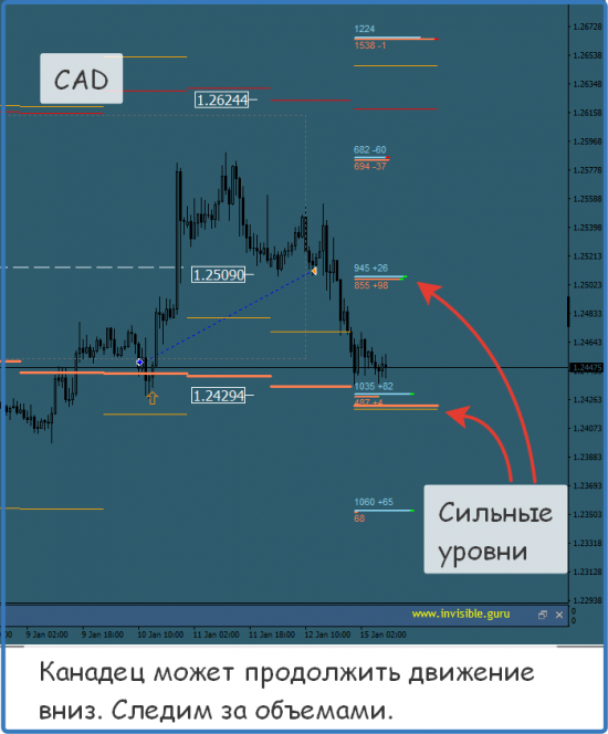 Мастерская трейдера 15.01.2018. Опционный анализ FOREX & FORTS