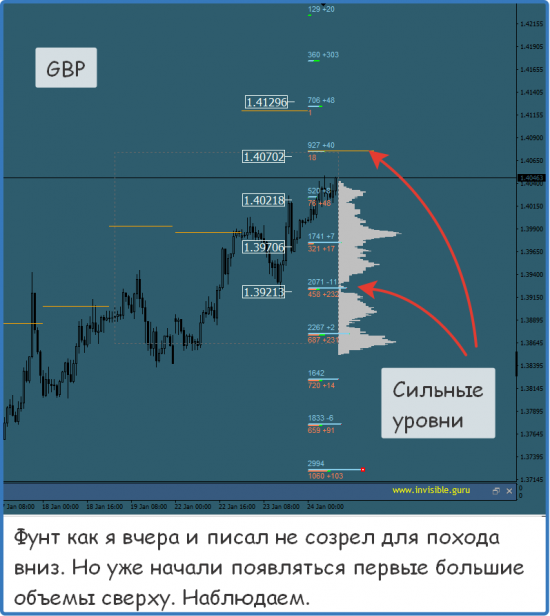 Мастерская трейдера 24.01.2018. Опционный анализ FOREX & FORTS