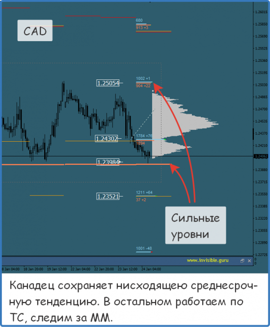 Мастерская трейдера 24.01.2018. Опционный анализ FOREX & FORTS