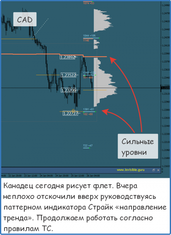 Мастерская трейдера 26.01.2018. Опционный анализ FOREX & FORTS