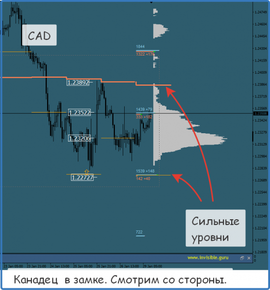 Мастерская трейдера 29.01.2018. Опционный анализ FOREX & FORTS