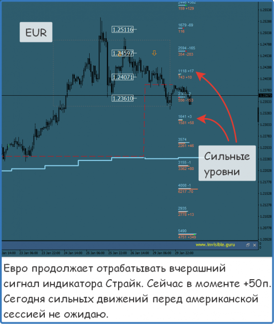 Мастерская трейдера 30.01.2018. Опционный анализ FOREX & FORTS