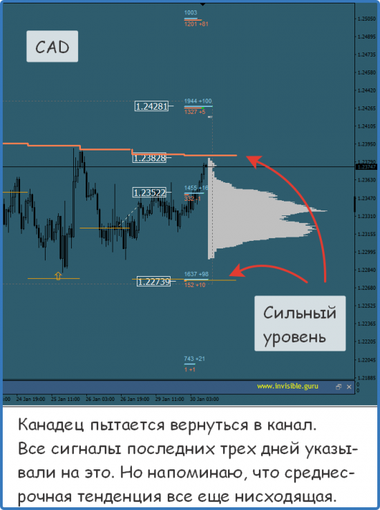 Мастерская трейдера 30.01.2018. Опционный анализ FOREX & FORTS