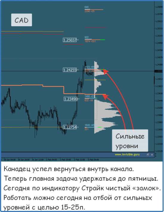 Мастерская трейдера 05.02.2018. Опционный анализ FOREX & FORTS