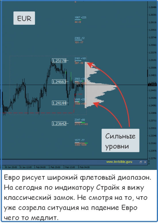 Мастерская трейдера 05.02.2018. Опционный анализ FOREX & FORTS