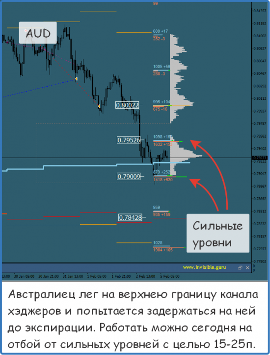 Мастерская трейдера 05.02.2018. Опционный анализ FOREX & FORTS