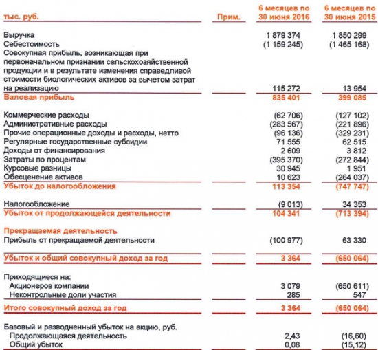 Русгрэйн - рост выручки на 2% и выход в прибыль против убытка годом ранее (1 п/г МСФО)