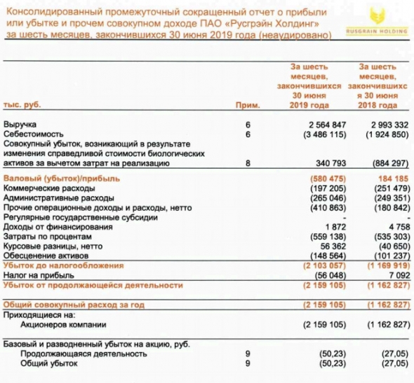 Русгрэйн Холдинг - убыток за 1 п/г по МСФО вырос в 1,86 раз