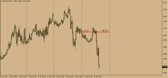 UsdCad  31.01.2017   отличная работа от обьема