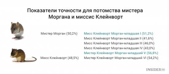 Крысы торгуют не хуже лучших управляющих