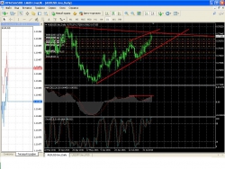 AUD и NZD