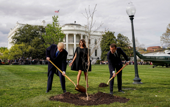 Бидон выйграет но а Трампа ждёт: