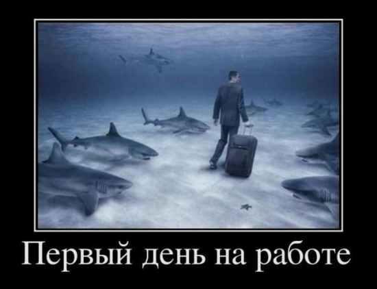 Я всего месяц на рынке, подскажите к кому идти учиться, что изучать и т.д. ПЛИЗ!