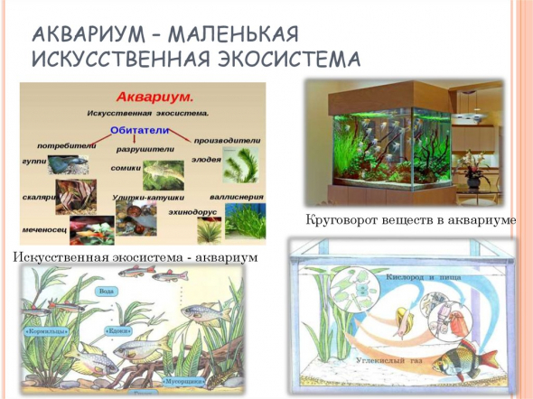 ГОТОВ ПОСПОРИТЬ НА НОВЫЕ ДЕНЬГИ