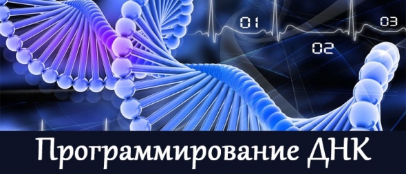 Будущее человечества - это программирование своего ДНК?