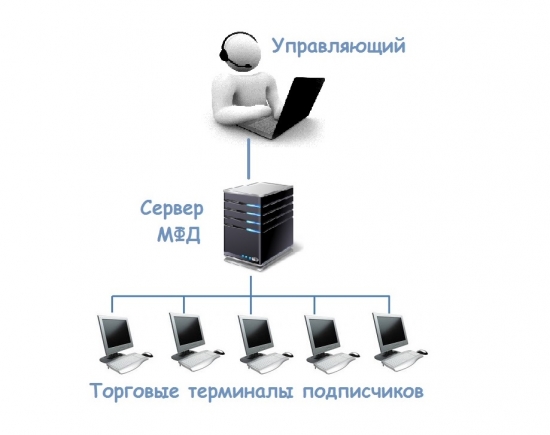 АВТОСЛЕДОВАНИЕ: Зарабатывай деньги чужим умом!