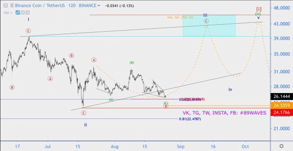 Волновой анализ BNB/USD