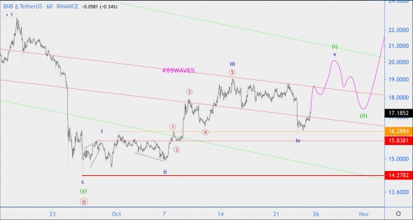 Волновой анализ BNB/USD