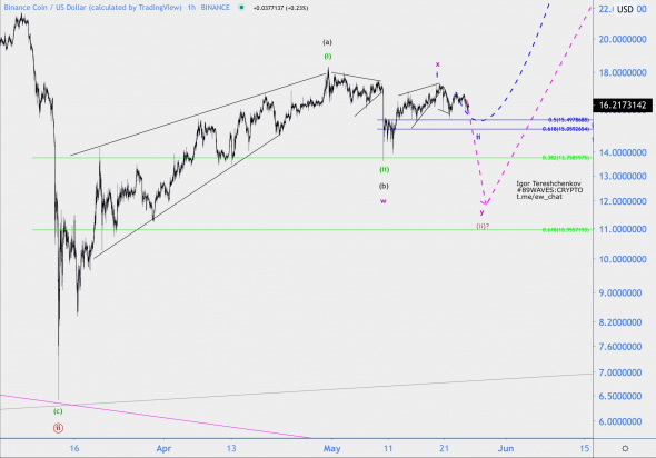 Волновой анализ BNB/USD