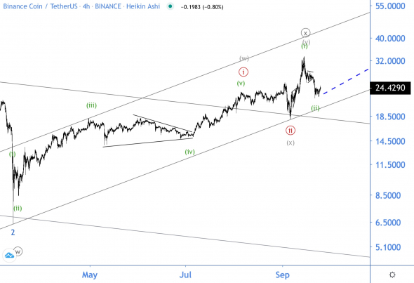 Волновой анализ BNB/USD