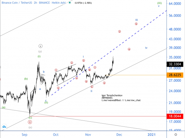 Волновой анализ BNB/USD