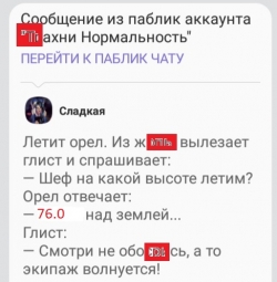 Brent.Игра «кошки-мышки»:прыжок.. разворот..отскок...