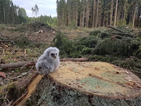 Я и мой депозит на прошлом сливе мамбы