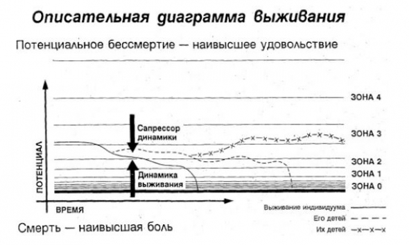 Почему в день не нужно совершать больше 2-ух сделок?